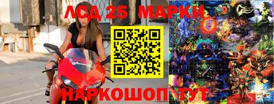 ешки Волгодонск