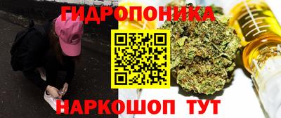 ешки Волгодонск
