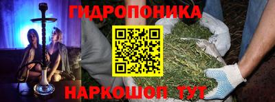 ешки Волгодонск