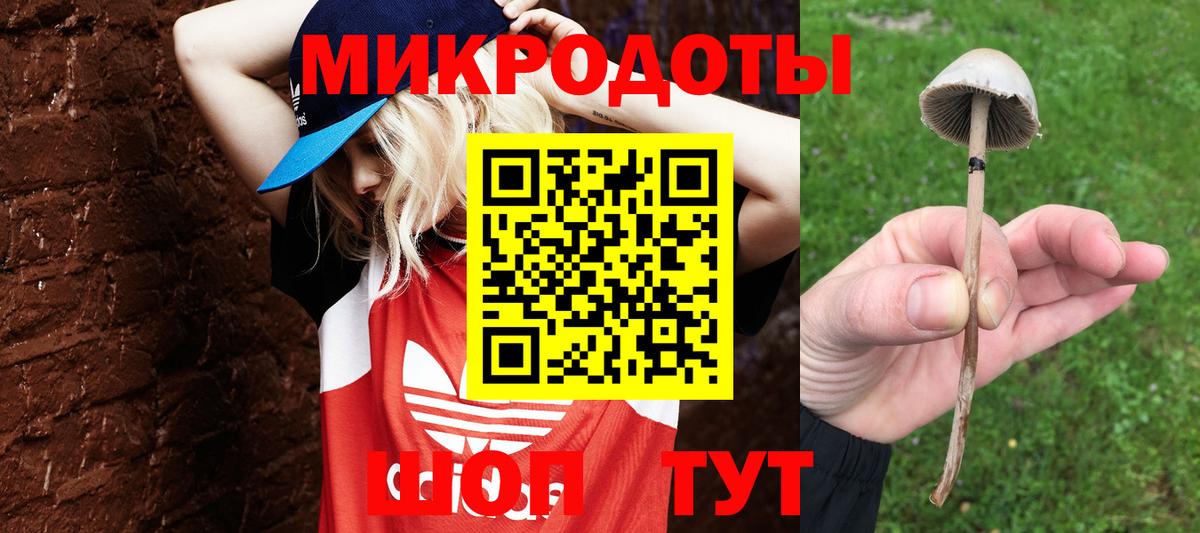 Галлюциногенные грибы мухоморы Дзержинский