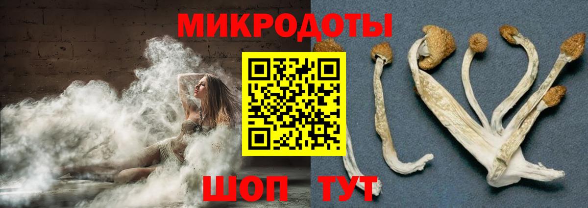 Псилоцибиновые грибы Psilocybe  Вход с VPN  Дзержинский 
